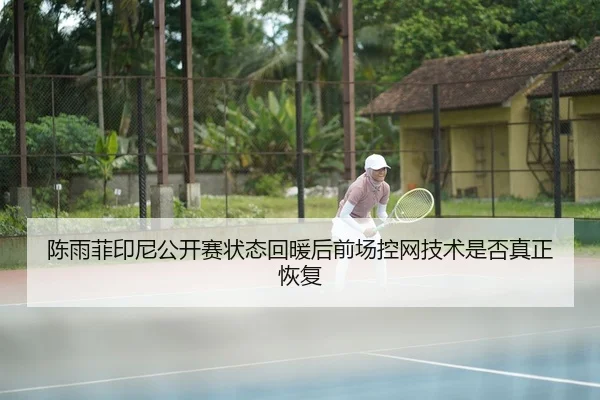 chen-yu-fei-yin-ni-gong-kai-sai-zhuang-tai-hui-nuan-hou-qian-chang-kong-wang-ji-shu-shi-fou-zhen-zheng-hui-fu-2-928.jpg