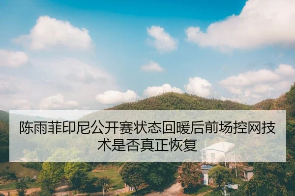 陈雨菲印尼公开赛状态回暖后前场控网技术是否真正恢复