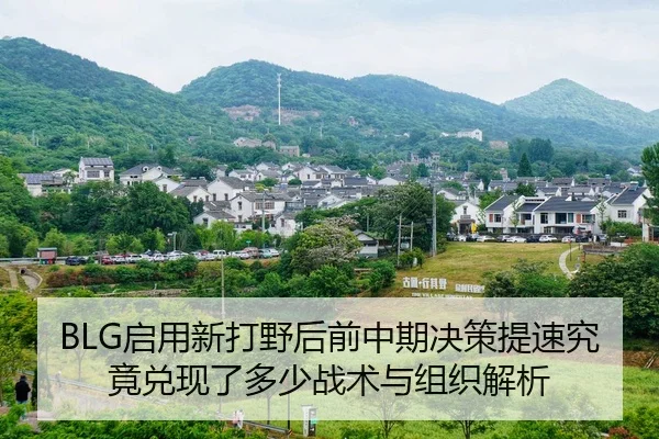 BLG启用新打野后前中期决策提速究竟兑现了多少战术与组织解析